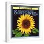 Sunflower Label-null-Framed Giclee Print
