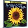 Sunflower Label-null-Mounted Giclee Print