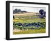 Sunflower Landscape-Dorothy Berry-Lound-Framed Giclee Print