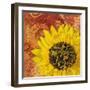 Sunflower - Love of Light-Cora Niele-Framed Photographic Print