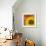 Sunflower - Love of Light-Cora Niele-Framed Photographic Print displayed on a wall