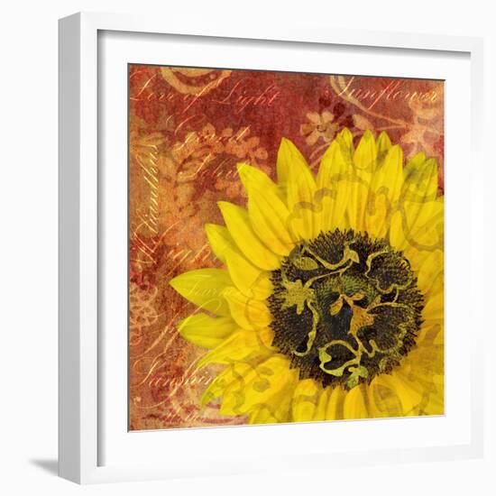 Sunflower - Love of Light-Cora Niele-Framed Photographic Print