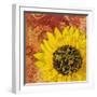 Sunflower - Love of Light-Cora Niele-Framed Photographic Print