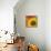 Sunflower - Love of Light-Cora Niele-Mounted Photographic Print displayed on a wall