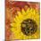 Sunflower - Love of Light-Cora Niele-Mounted Photographic Print