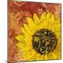 Sunflower - Love of Light-Cora Niele-Mounted Photographic Print