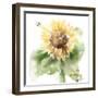 Sunflower Meadow III-Katrina Pete-Framed Art Print