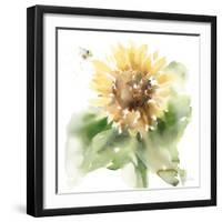 Sunflower Meadow III-Katrina Pete-Framed Art Print