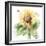 Sunflower Meadow III-Katrina Pete-Framed Art Print