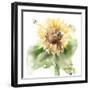 Sunflower Meadow III-Katrina Pete-Framed Art Print