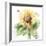 Sunflower Meadow III-Katrina Pete-Framed Art Print