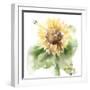 Sunflower Meadow III-Katrina Pete-Framed Art Print