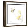 Sunflower Meadow IV-Katrina Pete-Framed Art Print