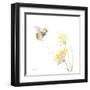 Sunflower Meadow IV-Katrina Pete-Framed Art Print