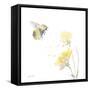 Sunflower Meadow IV-Katrina Pete-Framed Stretched Canvas