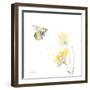 Sunflower Meadow IV-Katrina Pete-Framed Art Print