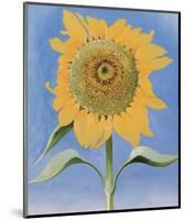 Sunflower, New Mexico, 1935-Georgia O'Keeffe-Mounted Art Print