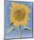 Sunflower, New Mexico, 1935-Georgia O'Keeffe-Mounted Art Print