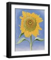 Sunflower, New Mexico, c.1935-Georgia O'Keeffe-Framed Art Print