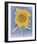 Sunflower, New Mexico, c.1935-Georgia O'Keeffe-Framed Art Print