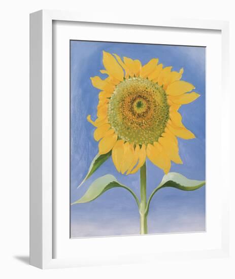 Sunflower, New Mexico, c.1935-Georgia O'Keeffe-Framed Art Print