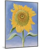 Sunflower, New Mexico, c.1935-Georgia O'Keeffe-Mounted Art Print