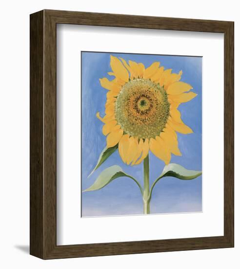 Sunflower, New Mexico, c.1935-Georgia O'Keeffe-Framed Art Print