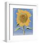 Sunflower, New Mexico, c.1935-Georgia O'Keeffe-Framed Art Print