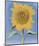 Sunflower, New Mexico, c.1935-Georgia O'Keeffe-Mounted Art Print