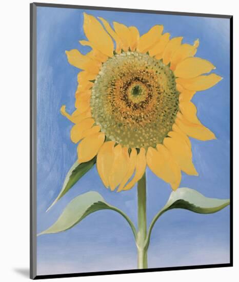 Sunflower, New Mexico, c.1935-Georgia O'Keeffe-Mounted Art Print