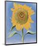 Sunflower, New Mexico, c.1935-Georgia O'Keeffe-Mounted Art Print
