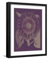 Sunflower, no. 13-null-Framed Art Print