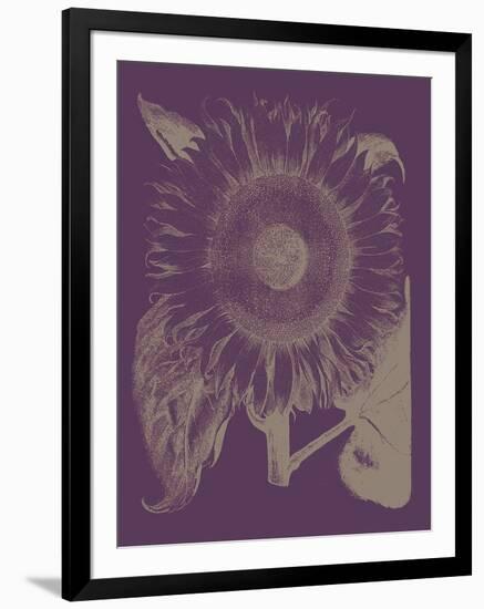 Sunflower, no. 13-null-Framed Art Print