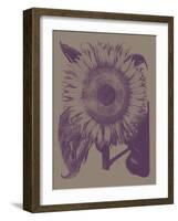 Sunflower, no. 14-null-Framed Art Print