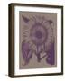 Sunflower, no. 14-null-Framed Art Print