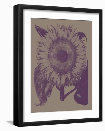 Sunflower, no. 14-null-Framed Art Print