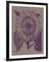 Sunflower, no. 14-null-Framed Art Print