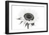 Sunflower Noir - Centre-James Guilliam-Framed Giclee Print