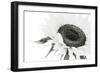 Sunflower Noir - Close-James Guilliam-Framed Giclee Print