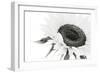 Sunflower Noir - Close-James Guilliam-Framed Giclee Print