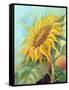 Sunflower, Oil Painting On Canvas-Valenty-Framed Stretched Canvas