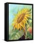 Sunflower, Oil Painting On Canvas-Valenty-Framed Stretched Canvas