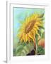 Sunflower, Oil Painting On Canvas-Valenty-Framed Art Print