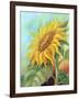 Sunflower, Oil Painting On Canvas-Valenty-Framed Art Print