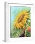 Sunflower, Oil Painting On Canvas-Valenty-Framed Art Print