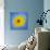 Sunflower on Blue II-Kathy Mahan-Photographic Print displayed on a wall