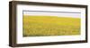 Sunflower Panorama-Stephen Gassman-Framed Giclee Print