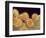 Sunflower pollen at a magnification of x1000-Micro Discovery-Framed Photographic Print