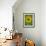 Sunflower, Provence, France, Europe-Rainford Roy-Framed Photographic Print displayed on a wall