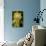 Sunflower Puppet-Charles Bowman-Photographic Print displayed on a wall